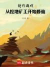 制作游戏,从挖地矿工开始修仙