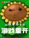 从向日葵开始游戏重开