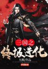 三国之终极进化
