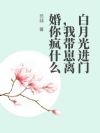 白月光进门,我带崽离婚你疯什么